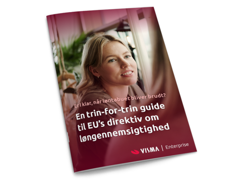 Løngennemsigtighedsguide